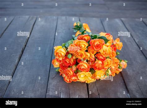 Rose Lying On The Floor Hi Res Stock Photography And Images Alamy