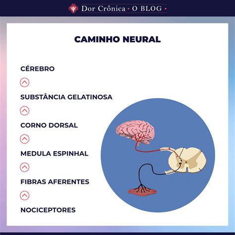 Mecanismos de dor: uma nova teoria - Dor Crônica - O Blog