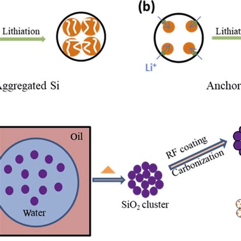 Schematic Illustration Of Lithium Ion Transfer Pathways And The