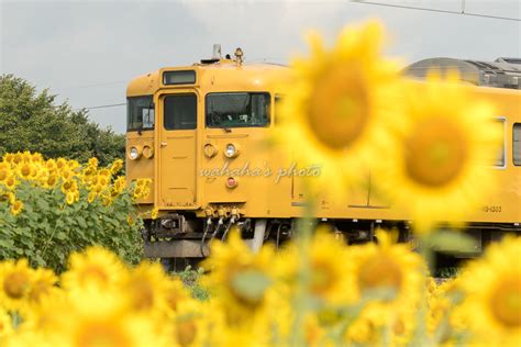 鉄道風景写真が撮りたーいっ！ やっぱり天国でした