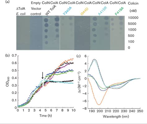 Figure From Antibacterial Toxin Colicin N And Phage Protein G P