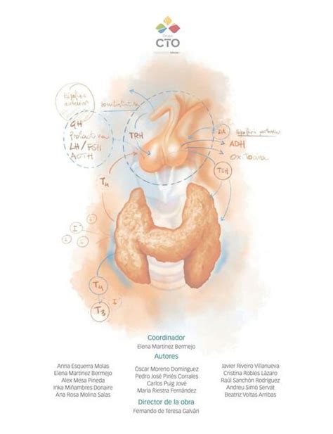 Manual CTO Endocrinología Tiroxina Med uDocz