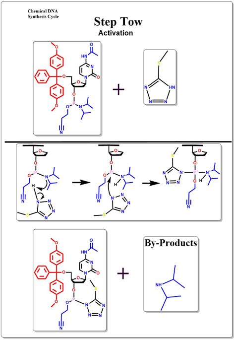 News - Principles of Nucleic Acid Synthesis