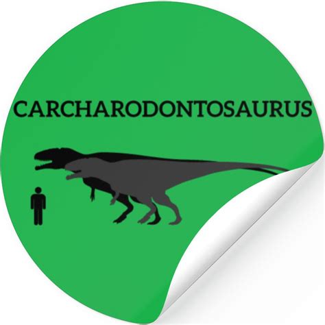 Dinosaur Jurassic Fossil Skull Carcharodontosaurus