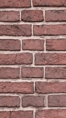 Brick Wall GIFs | Tenor