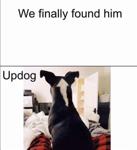 Updog : meme