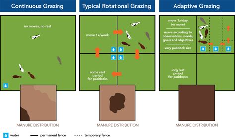 Pasture Project : Grazing Diagrams