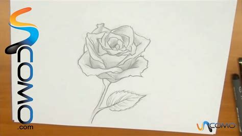 20 Nuevo Para Imagenes De Rosas Para Dibujar Faciles Y Bonitas Paso A