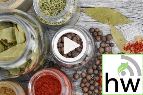 Podcast: Creating Heavenly Energy with Adaptogenic Herbs – HerbWorks