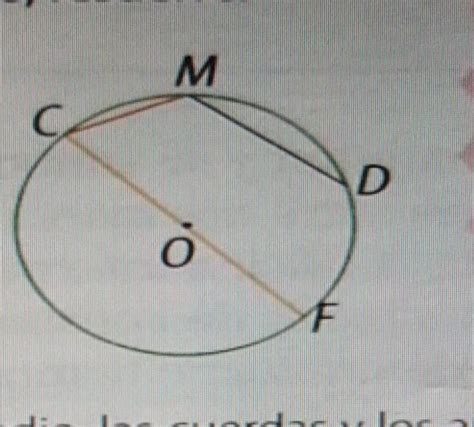 Observa Los Elementos De La Siguiente Circunfe Rencia Luego Resuelve