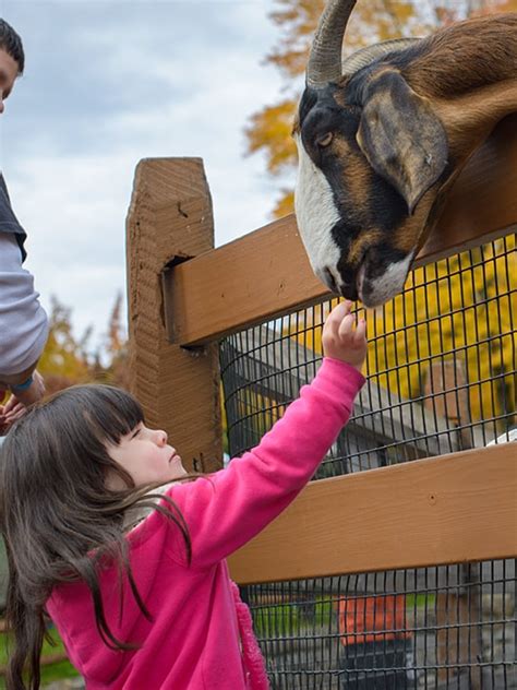 The Lehigh Valley Zoo | visitPA