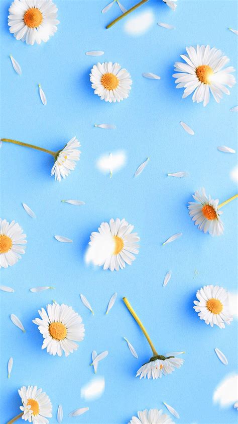 Discover 56 Aesthetic Pastel Cute Daisy Wallpaper Super Hot In