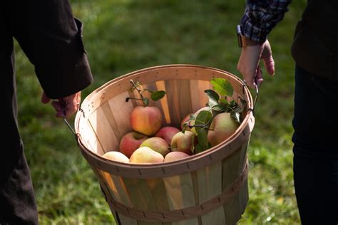 Outdoor Activities for Fall — Fall Outdoor Activities - aSweatLife