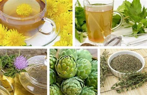 Infusiones De Hierbas Para Desintoxicar El Cuerpo Infusiones De