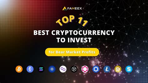 Top Best Cryptocurrency To Invest In For Bear Market Profits