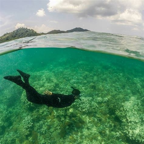 Spot Snorkeling Di Batam Pulau Petong Jawabnya