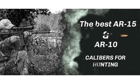 The Best Ar Calibers For Hunting Bear Creek Arsenal