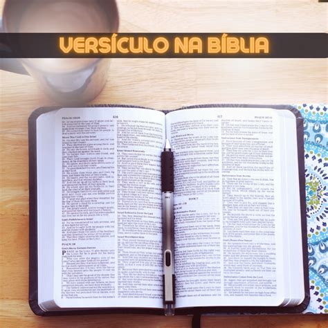 versiculo na biblia guia  aprofundar sua leitura