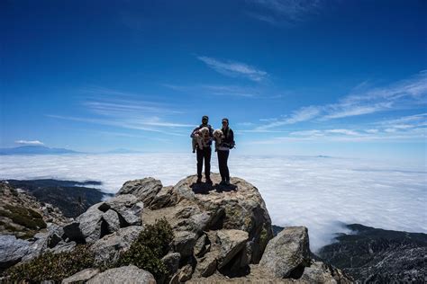 Cucamonga Peak Via Icehouse Canyon Trail To Peak