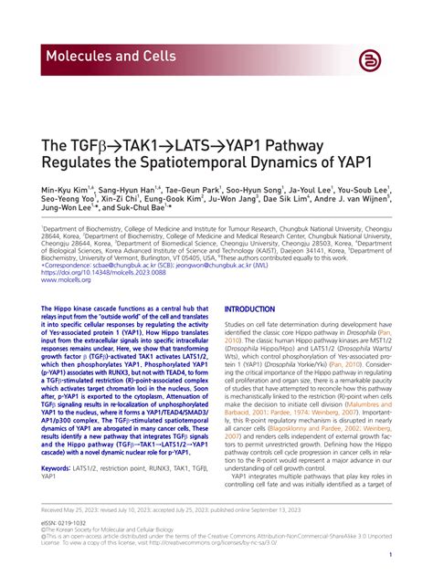 PDF The TGFβTAK1LATSYAP1 Pathway Regulates the Spatiotemporal