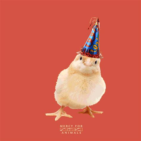 Chicken Birthday GIFs Get The Best On GIPHY