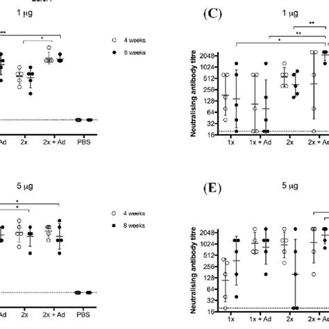 Vaccination Of Adult Male And Female Cd1 Mice With Binjari Virus