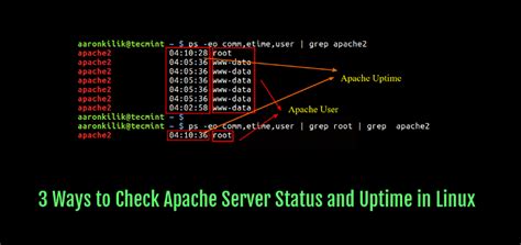 What Is Apache Web Server Unbrick Id