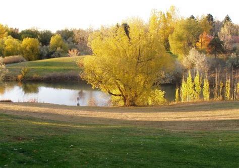 Majestic View Park And