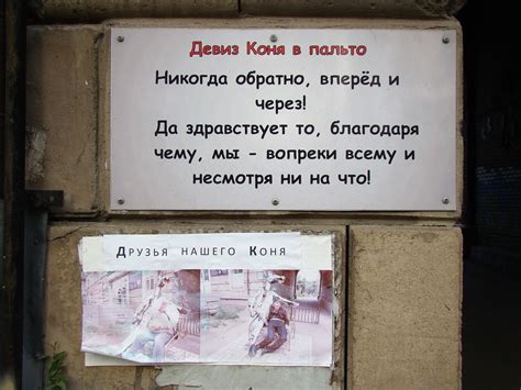 Конь в пальто | Пикабу