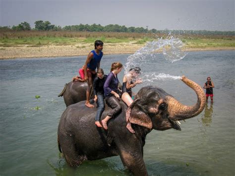 Chitwan jungle Safari | Himlal Trek