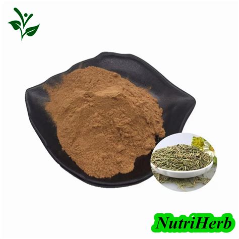 Wholesales Price Rosemary Leaf Extract 98 Carnosic Acid Rosmarinic Acid Powder China Carnosic