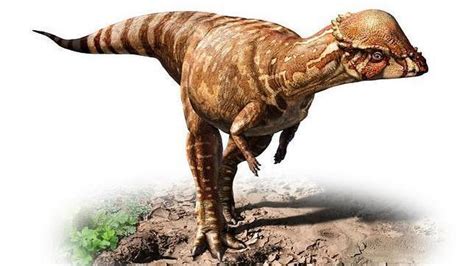 Los Diez Dinosaurios Más Raros Descubiertos En Los últimos Años