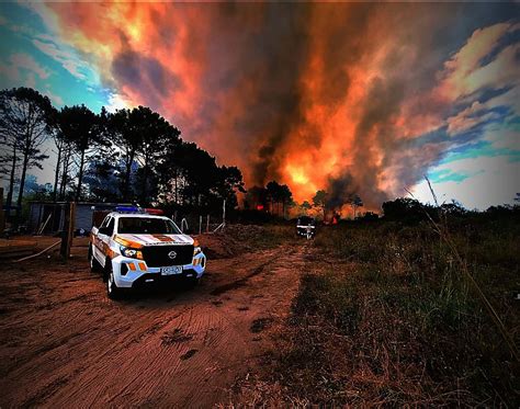 Ya Van 40 Incendios Forestales En Uruguay En 2023 Y Prevén Un Año