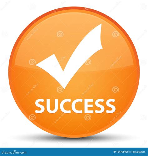 Success Validate Icon Special Orange Round Button Stock Illustration