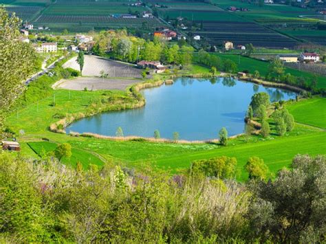 I Colli Euganei Candidati A Riserva Della Biosfera Mab Unesco