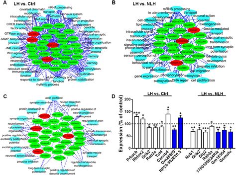 Frontiers Profiling And Co Expression Network Analysis Of Learned