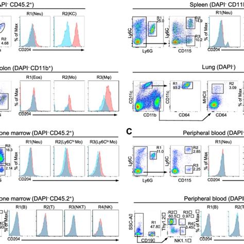 PDF CD204 Positive Monocytes And Macrophages Ameliorate Septic Shock