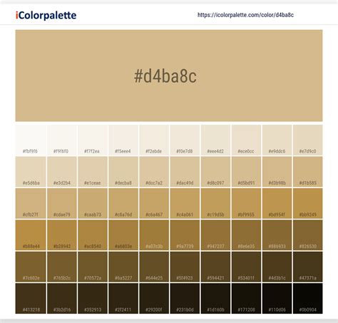 Buckskin information | Hsl | Rgb | Pantone