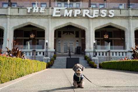 A Romantic Lesbian Friendly Stay At The Fairmont Empress In Victoria BC Lez See The World