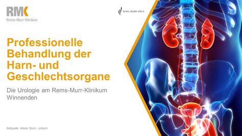 Professionelle Behandlung Der Harn Und Geschlechtsorgane Urologie