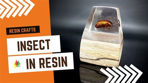 HOW TO PUT A BUG IN RESIN RESIN ART YouTube