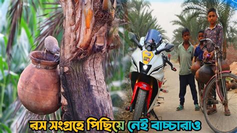 খেজুরের রস সংগ্রহ। পিছিয়ে নেই ছোট বাচ্চারাও। কিভাবে খেজুরের রস সংগ্রহ করা হয়।খেজুর গাছ কাটে