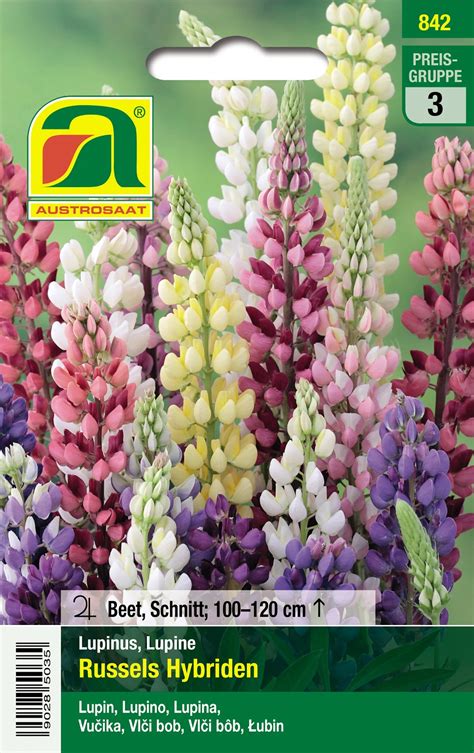 Austrosaat Saatgut Lupinen Russels Hybriden Mehrfarbig Lupinus