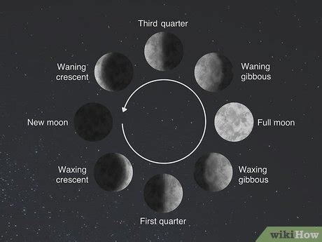 How to Tell Whether the Moon Is Waxing or Waning: A Guide