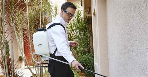 Why You Need Pest Control 6 Important Reasons To Consider