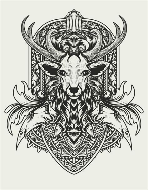 Vintage Deer Head Illustration