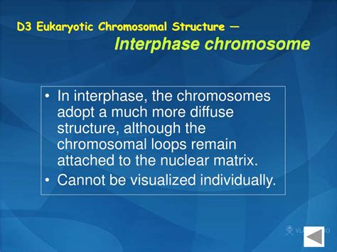 Ppt Section D Prokaryotic And Eukaryotic Chromosome Structure Powerpoint Presentation Id