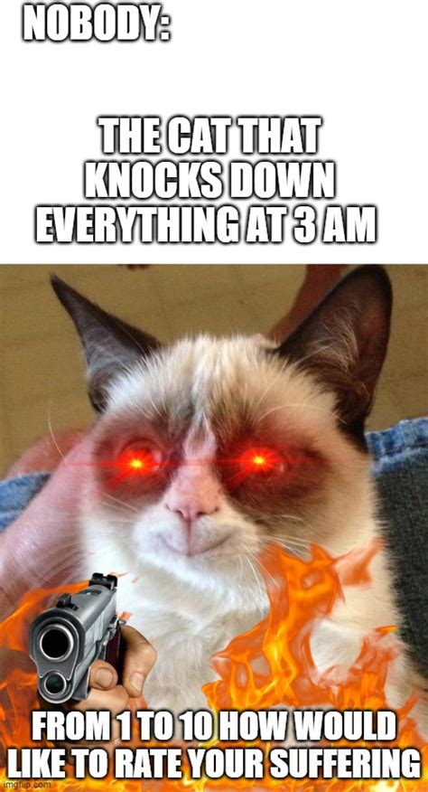 Grumpy Cat Happy Memes - Imgflip