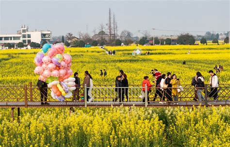 四川：以花为媒 美丽经济助力乡村振兴要闻图片中国政府网