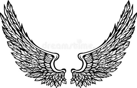 Vector Wings Eagle Graphic Image Vector Illustration Of Ornate Bird